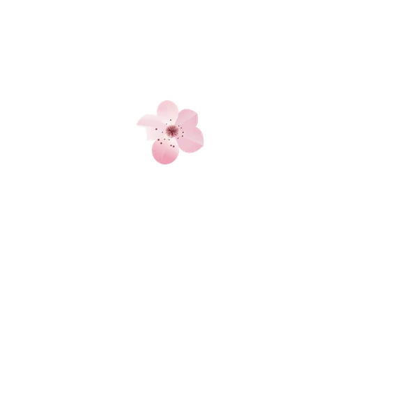 Linienzeichnung einer Frau mit Kirschblüte im Haar
